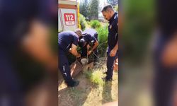 Adıyaman’da itfaiye ekipleri yavru kedi için seferber oldu: Kuyudan sağ çıkarıldı...