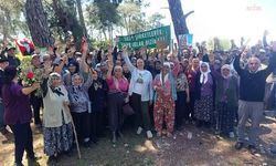 Akbelen'den dayanışma çağrısı: "Toprak talan edildiğinde geri dönüşü yok"