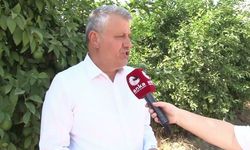 Barut: Çiftçi üretir, kazanamaz ama maalesef çiftçinin alın terinin karşılığını bir başkaları kazanır