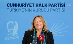 CHP'li Gülsever'den Elif Eralp'e tebrik