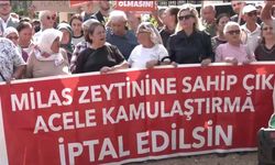 Hak savunucularından "acele kamulaştırma" projelerine tepki: Bir şirketi binlerce hayvana tercih ediyorlar
