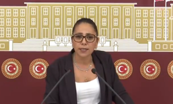 Sera Kadıgil'den erişim engellerine tepki: Muhaliflerini yok etmek için tüm enerjisini kullanıyor
