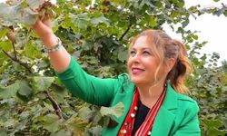 YENİ Partili Gezmiş: “Fındıktaki fiyat çöküşü, üreticinin bitişi demektir"