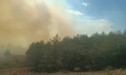 Bolu’da anız yangını ormana sıçradı: Ekipler seferber oldu