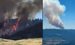 Ankara Kızılcahamam’da orman yangını: Alevlere havadan ve karadan müdahale