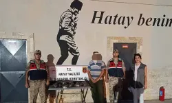 Göç yolunda 7 arı şahini vurdu: Avcıya 1 milyon 356 bin lira ceza