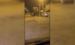 Sinop’ta gece sürprizi: İlçe merkezine kadar indi, araçların arasında gezindi!