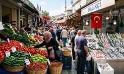 Karadeniz’de palamut bereketi: Tezgâhta 45 TL’yi gören depoluyor