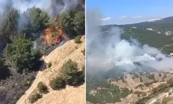 Balıkesir’de alevler ormana sıçradı: Ekipler havadan ve karadan müdahalede!