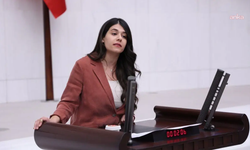 Kızıltepe’de çocukların bulunduğu eve baskın: Görüntüler Meclis gündeminde