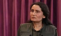 Bese Hozat, Öcalan için 'yasal statü' istedi