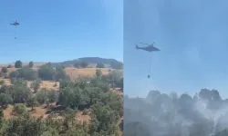 Bolu’da yangın paniği! Otlar alev aldı, yangın ağaçlara sıçradı