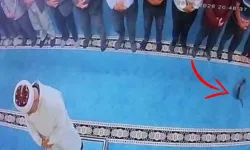 Erzurum’da camide kediyi tekmeleyen şüpheli gözaltına alındı!