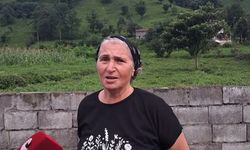 Çay üreticisinin hesabı tutmuyor: Kazanç işçilik ve gübreye gidiyor...