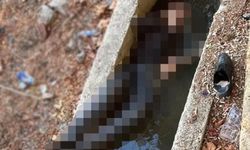 İstanbul'da korkunç olay! Su kanalında ölü bulundu