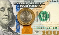 Dolar için dikkat çeken tarih: Fitch 60 TL seviyesini işaret etti!