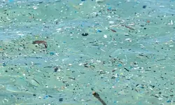 Plastik alarmı büyüyor! 24 yılda yüzde 84 arttı, 2060’ta üç katına çıkabilir