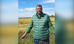 Çeltik fiyatında beklenen açıklama gelmedi: Çiftçiyi mağdur edemezsiniz!