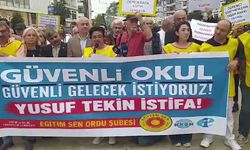 Okullardaki şiddete karşı çağrı: Somut adımlar atılmalı!