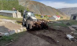 Erzincan’da ayı dehşeti: Ağıla girip 144 küçükbaş hayvanı telef etti!