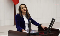 Köprü ve otoyolların özelleştirilmesi Meclis gündeminde: İlgezdi’den Şimşek’e soru yağmuru...