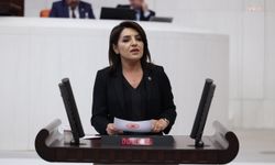 Fon krizinde Meclis’e üç soru: Vatandaşın uğrayacağı zararı kim karşılayacak?