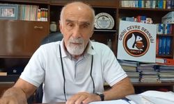 Ordu’da altın arama sondajlarına tepki: ORÇEV’den suç duyurusu