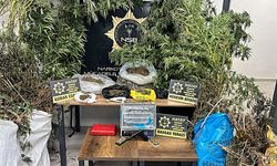 Hatay’da uyuşturucu operasyonu: 122 kök kenevir ve 14 kilo esrar ele geçirildi!