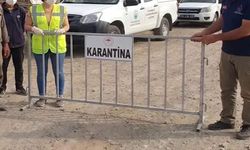 15 mahalle karantinaya alındı: Mavi dil hastalığı alarmı