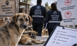 Sokak köpekleri için 81 ilde denetim başlıyor! Müfettişler sahaya iniyor...