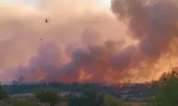 Kozan’daki yangın büyüdü! 3 ilçeye yayılan alevler 7 evi küle çevirdi...