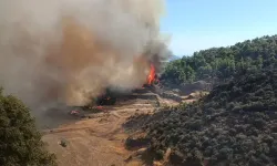 Kumluca’da orman yangını! Alevler rüzgarla büyüdü, ekipler seferber oldu