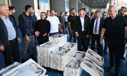 Ankara’da balık sezonu açıldı! Esnaftan Mansur Yavaş’a: 25 yıldır böyle bir emek görmedik...