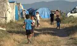 Tarlada ağır mesai, çadırlarda çocukluk: Mevsimlik işçilerin zorlu yaşamı
