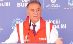 İBB'den çiftçiye destek: İstanbul'da ayçiçeği hasadı başladı
