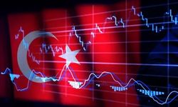 OECD, Türkiye'nin büyüme tahminini düşürdü, enflasyon beklentisini yükseltti