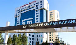TÜRKVET kayıtlarında büyük açık: Milyonlarca hayvanın aşı geçmişi bulunamadı!