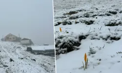 Rize’de şaşırtan manzara! Yeşil yayla bir gecede beyaza büründü...
