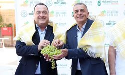 Manisa’da bağ bozumu heyecanı başlıyor: 4 gün boyunca konser, yarışma ve şenlik