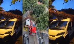 Kadıköy’de fırtına alarmı: Ağaç öğrenci servisinin üzerine devrildi!
