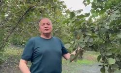YENİ Partili Seyit Torun fındık bahçesinden iktidara seslendi