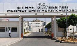 Sayıştay raporunda 'kişiye özel kadro' tespiti: 'Sanayi domatesinde su stresi' kriteri