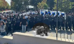 Turhan Çömez açıkladı: Yaşamına son vermek isteyen emeklinin son durumu