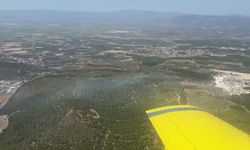 Soma’da orman yangını! Havadan ve karadan yoğun müdahale