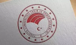 Üç bitki koruma maddesinde kullanım kararı değişti: Tarihler belli oldu