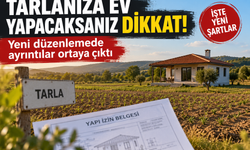 “Tarlama ev yapabilir miyim?” İşte merak edilen sorunun yanıtı...
