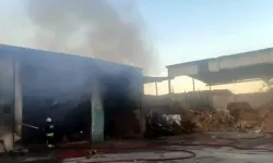Tekirdağ’da geri dönüşüm tesisinde çıkan yangın kontrol altına alındı!