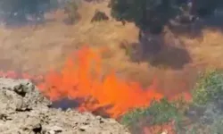 Tunceli’de ormanlık alanda yangın alarmı: Ekipler seferber oldu
