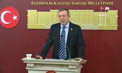 CHP’li Türeli’den OVP’ye sert eleştiri: Hiç kimse hedeflere inanmıyor