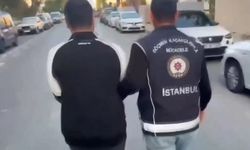 Usulsüz vatandaşlık soruşturmasında çok sayıda tutuklama